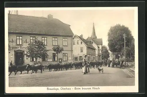 AK Braunlage / Oberharz, Hotel Beim Braunen Hirsch