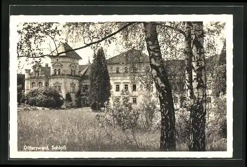 AK Ditterswind, Schloss vom Garten aus