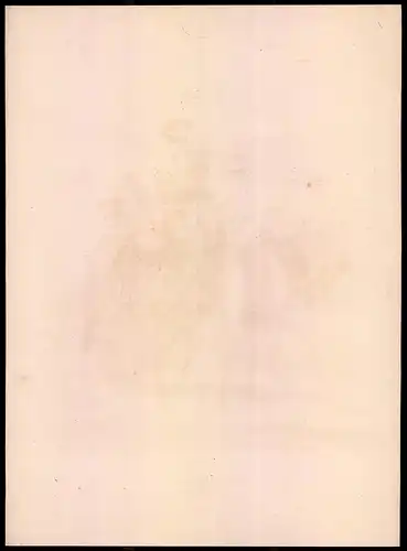 Lithographie Königreich Hannover, Landdragoner, Altkolorierte Lithographie aus Eckert und Monten um 1840, 36 x 27cm