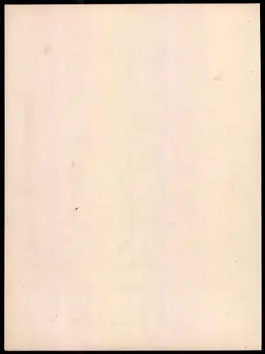 Lithographie Herzogthum Anhalt Köthen, Gendarmerie, Altkolorierte Lithographie aus Eckert & Monten um 1840, 33 x 25cm
