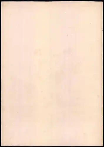 Lithographie Königreich Bayern, Bataillonsauditor, Altkolorierte Lithographie aus Eckert & Monten um 1840, 34 x 24cm