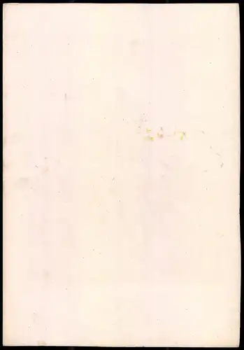 Lithographie Königreich Bayern, 1. Cuirassier Reg. (Prinz Carl), Altkolorierte Lithographie aus Eckert & Monten um 1840