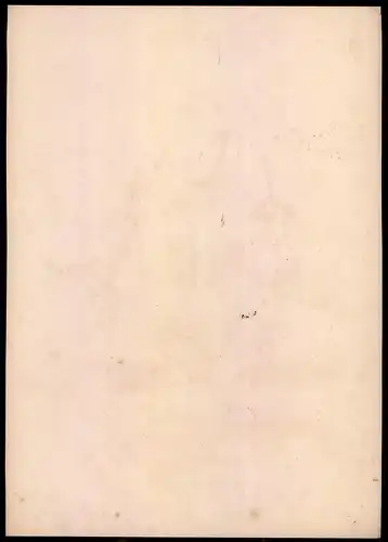 Lithographie Fürstenthum Lippe Detmold, Reg. Tambour, Altkolorierte Lithographie aus Eckert & Monten um 1840, 36 x 26cm
