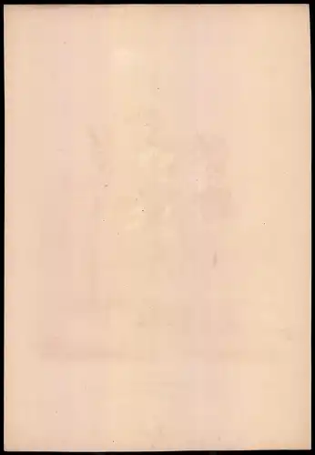 Lithographie Grossherzogthum Mecklenburg Schwerin, Altkolorierte Lithographie aus Eckert & Monten um 1840, 36 x 24cm