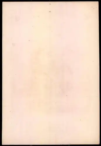Lithographie Duché Saxe Altenbourg, Infanterie, altkoloriert, montiert, aus Eckert & Monten um 1840 Vorzugsausgabe