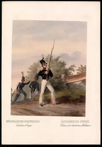 Lithographie Königreich Schweden, Cadeten-Corps, altkoloriert, montiert, aus Eckert & Monten um 1840 Vorzugsausgabe