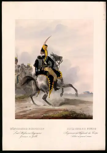 Lithographie Königreich Schweden, Leib-Husaren-Regt., altkoloriert, montiert, aus Eckert & Monten um 1840 Vorzugsausgabe