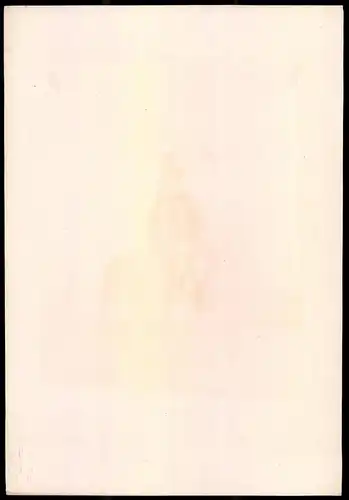 Lithographie Königreich Schweden, Leib-Husaren-Regt., altkoloriert, montiert, aus Eckert & Monten um 1840 Vorzugsausgabe