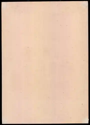 Lithographie La Lique Suisse, Canton Soleure, altkoloriert, montiert, aus Eckert & Monten um 1840 Vorzugsausgabe