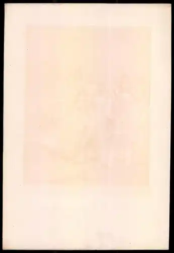Lithographie Schweizer Eidgenossenschaft, altkoloriert, montiert, aus Eckert & Monten um 1840 Vorzugsausgabe, 37 x 26cm