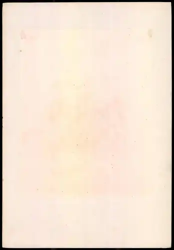 Lithographie Königreich Frankreich, altkoloriert, montiert, aus Eckert & Monten um 1840 Vorzugsausgabe, 36 x 25cm