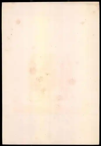 Lithographie Königreich Frankreich, altkoloriert, montiert, aus Eckert & Monten um 1840 Vorzugsausgabe, 37 x 26cm