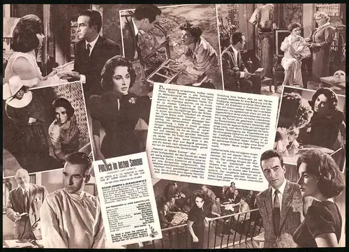 Filmprogramm IFB Nr. 5197, Plötzlich im letzten Sommer, Elizabeth Taylor, Katherine Hepburn, Regie: Joseph L. Mankiewicz