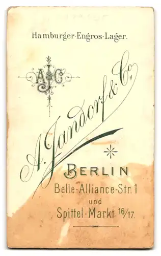 Fotografie A. Jandorf & Co., Berlin, Belle-Alliance-Str. 1, Portrait zwei junge Dienstmädchen mit Schürze