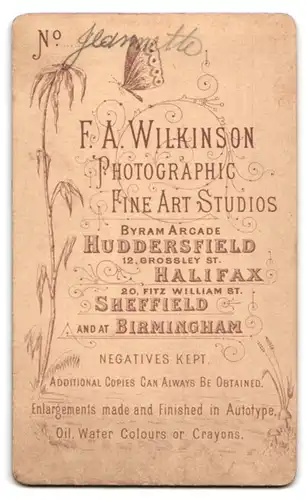 Fotografie F.A. Wilkinson, Halifax, 20 Fitz William Street, elgenate junge Frau an der Chaiselongue