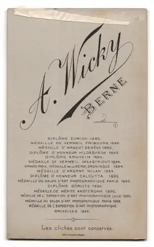 Fotografie A. Wicky, Berne, Dame im Kleid mit Dutt
