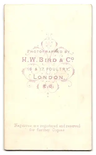 Fotografie H. W. Bird & Co., London-EC, 16 & 17, Poultry, Portrait junge Dame im modischen Kleid