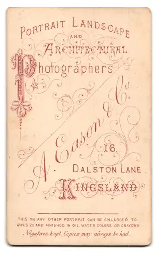 Fotografie A. Eason & Co., Kingsland, 16, Dalston Lane, Portrait junge Dame mit zurückgebundenem Haar