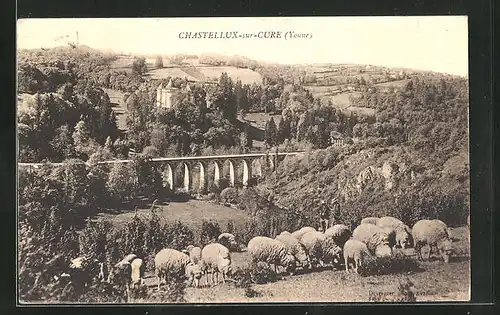 AK Chastellux-sur-Cure, Panorama und Schafherde