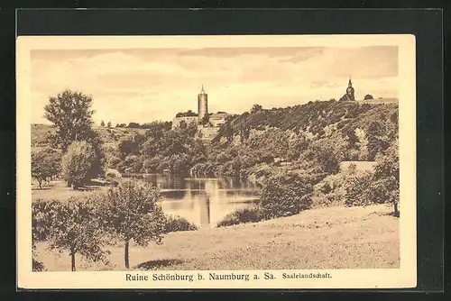 AK Naumburg /Saale, Ruine Schönburg mit Saale