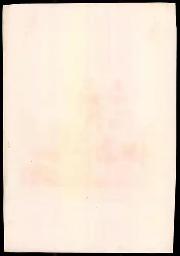 Lithographie Königreich Schweden, Jäger-Regt., altkoloriert, montiert, aus Eckert & Monten um 1840 Vorzugsausgabe