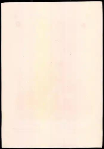 Lithographie Königreich Schweden, Jäger-Regt., altkoloriert, montiert, aus Eckert & Monten um 1840 Vorzugsausgabe