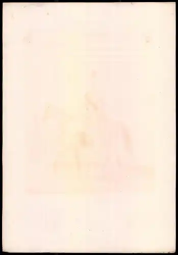 Lithographie Königreich Schweden, Dragoner-Regt., altkoloriert, montiert, aus Eckert & Monten um 1840 Vorzugsausgabe