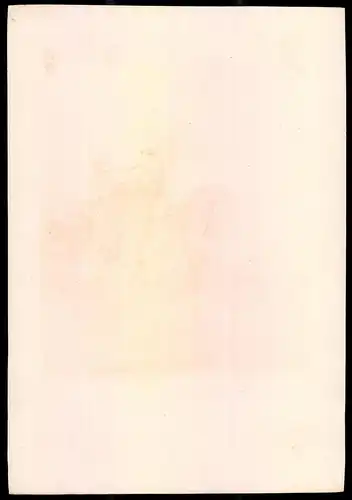 Lithographie Königreich Schweden, Husaren-Regt., altkoloriert, montiert, aus Eckert & Monten um 1840 Vorzugsausgabe
