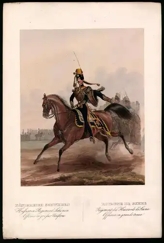 Lithographie Königreich Schweden, Husaren-Regt., altkoloriert, montiert, aus Eckert & Monten um 1840 Vorzugsausgabe