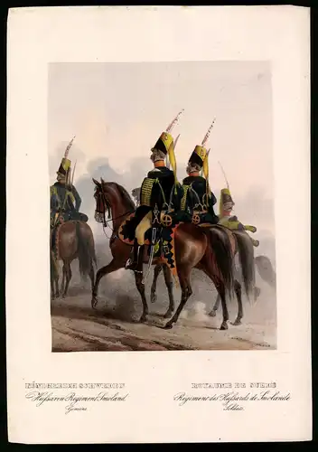 Lithographie Königreich Schweden, Husaren-Regt., altkoloriert, montiert, aus Eckert & Monten um 1840 Vorzugsausgabe