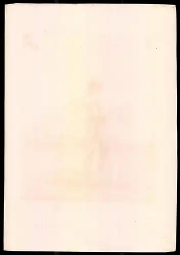 Lithographie Königreich Schweden, Husaren-Regt., altkoloriert, montiert, aus Eckert & Monten um 1840 Vorzugsausgabe