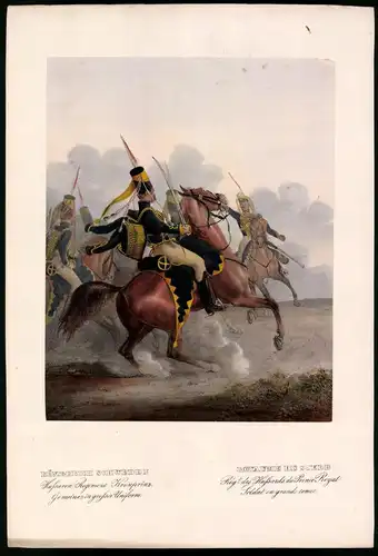 Lithographie Königreich Schweden, Husaren-Regt., altkoloriert, montiert, aus Eckert & Monten um 1840 Vorzugsausgabe