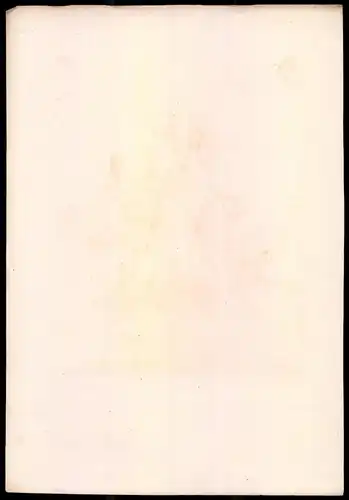 Lithographie Königreich Schweden, 1. Garde-Regt., altkoloriert, montiert, aus Eckert & Monten um 1840 Vorzugsausgabe