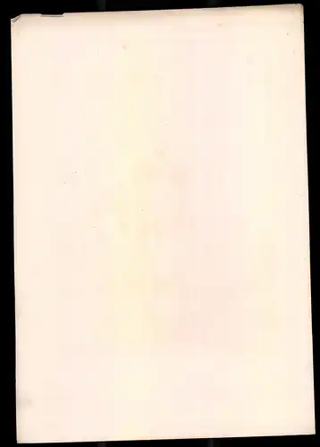 Lithographie Königreich Schweden, 2. Garde-Regt., altkoloriert, montiert, aus Eckert & Monten um 1840 Vorzugsausgabe