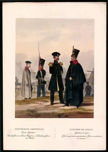 Lithographie Königreich Schweden, Linien Infanterie, altkoloriert, montiert, aus Eckert & Monten um 1840 Vorzugsausgabe