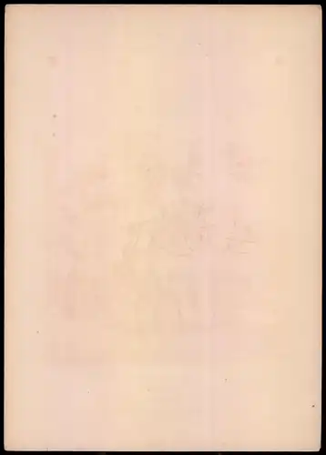 Lithographie Grossherzogthum Baden, Fussartillerie, altkoloriert, montiert, aus Eckert & Monten um 1840 Vorzugsausgabe