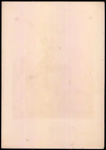 Lithographie Grand Duché Bade, 2. Régt. de Dragons, altkoloriert, montiert, aus Eckert & Monten um 1840 Vorzugsausgabe