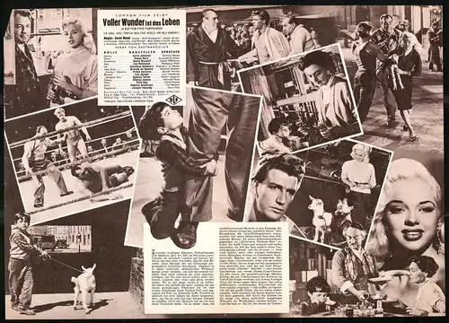 Filmprogramm IFB Nr. 3127, Voller Wunder ist das Leben, Cella Johnson, Diana Dors, Joe Robinson, Regie Carol Reed