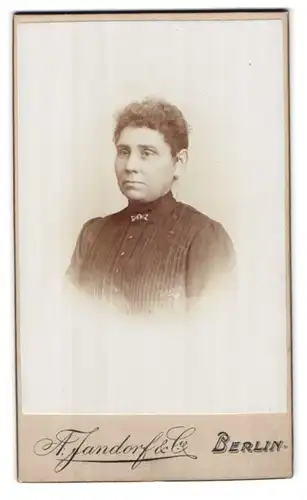 Fotografie A. Jandorf & Co., Berlin-SW, Bellealliancestrasse 1-2, Portrait bürgerliche Dame mit Kragenbrosche