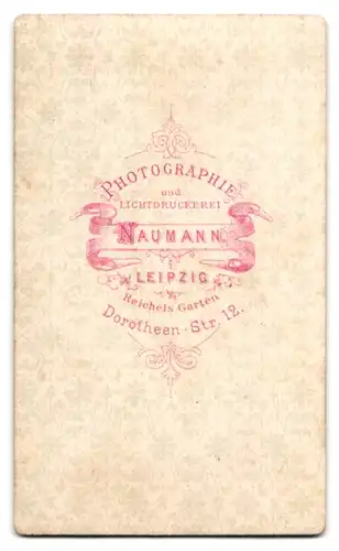 Fotografie Naumann, Leipzig, Dorotheen-Strasse 12, Portrait junge Dame mit Hochsteckfrisur