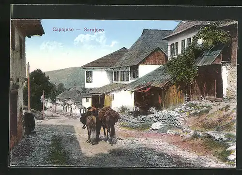 AK Sarajewo, Partie in einer bergigen Strasse, Packesel