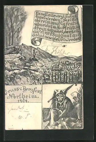 AK Northeim, Totalansicht mit Bergfest 1904, Absolvia