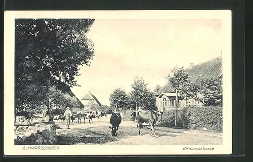 AK Schwarzenbek, Bismarckstrasse mit Kühen