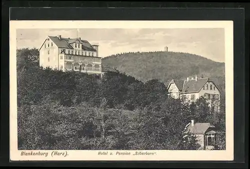 AK Blankenburg /Harz, Hotel und Pension Silberborn