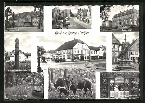 AK Springe a. Deister, Hotel Friese, Jagdschloss, Bahnhof