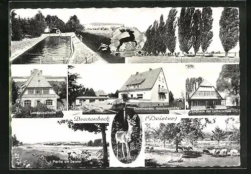 AK Bredenbeck /Deister, Landschulheim, Pappelallee, Einzelhandels-Schulungsstätte