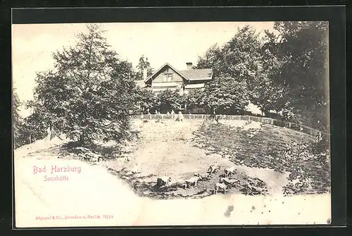 AK Bad Harzburg, Sennhütte