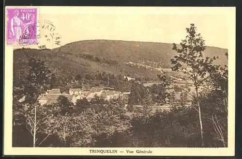 AK Trinquelin, Vue générale