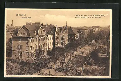 AK Bitterfeld, Wohnhäuser an der Lindenstrasse