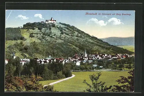 AK Neustadt i. Odenwald, Ortsansicht mit Burg Breuberg